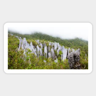 Limestone pinnacles at gunung mulu national park Sticker